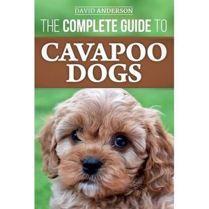 The Complete Guide to Cavapoo Dogs: Everything you need to know to successfully